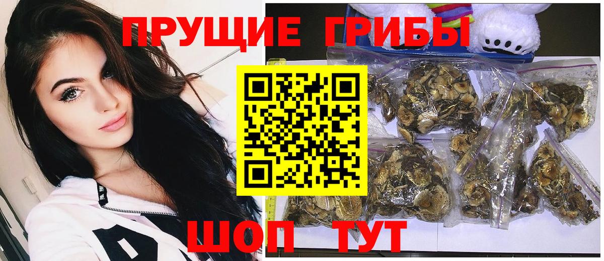 купить наркотик  Вход с VPN  Галлюциногенные грибы мицелий  Нижнекамск  Псилоцибиновые грибы Cubensis 