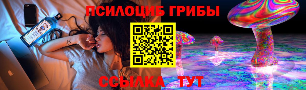 Галлюциногенные грибы GOLDEN TEACHER Нижнекамск